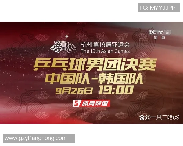 杭州乒乓球队实力分析与发展潜力探讨全面解读