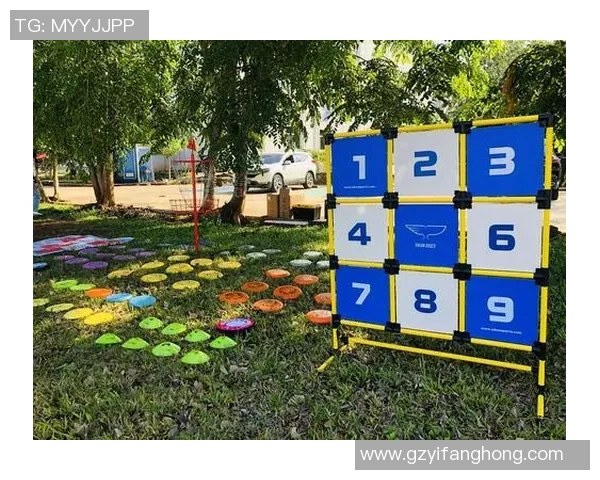 飞盘逆袭武汉队的奋斗历程与荣耀时刻全记录